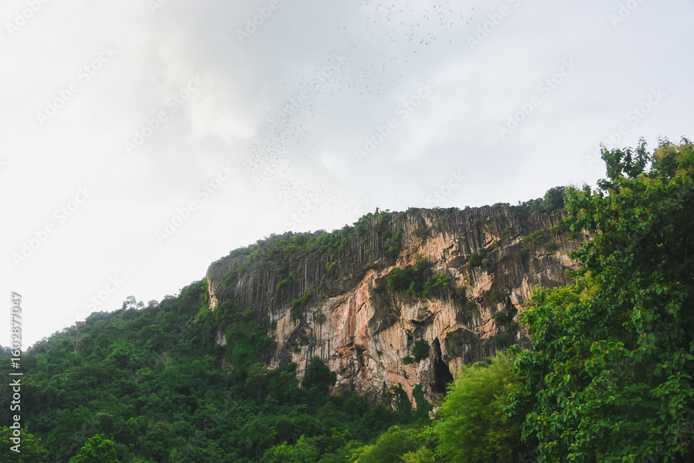 Naklejka premium A view of large limestone mountains covered with dense green forest. Limestone mountains are characterized by steep cliffs, natural cracks and fissures that reveal different layers of rock.