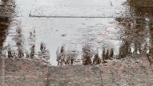 Raindrops fall into a puddle, forming bubbles and waves. Rainy mood of the day.
