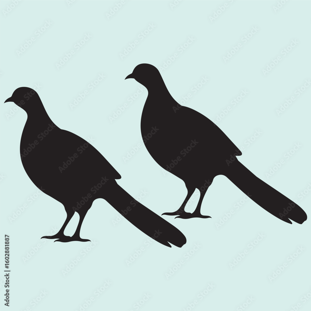 Fototapeta premium Pheasant Bird Set Silhouette Illustration