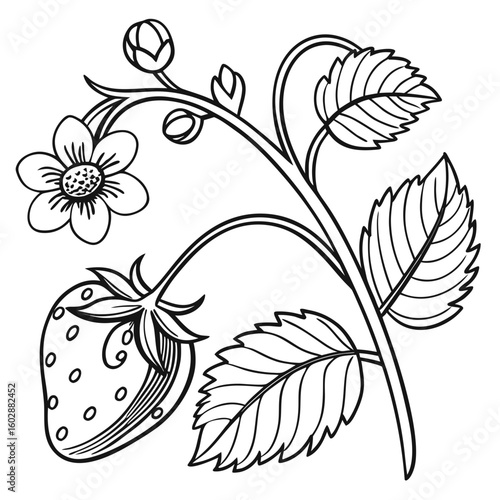 black and white flowers coloring page vector illustration