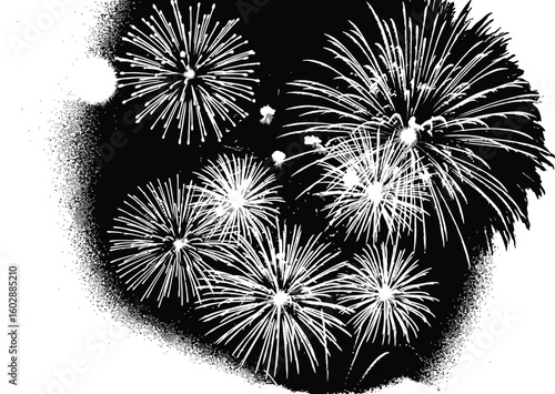 A burst of festive spirit is captured in this monochrome display of fireworks, showcasing the celebratory nature of the event with bright, exploding pyrotechnics.