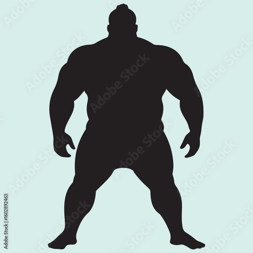 Sumo Sport Illustration