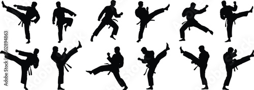 Silhouette martial artists performing karate kick poses, black belt training, dynamic karate actions, vector illustration for design and animation projects