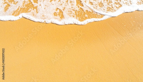 Golden Sand Beach Meets Foamy Wave on a Bright Sunny Day Outdoors