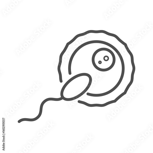 Fertility icon for sperm and egg, or ovum. IVF and infertility treatment with pregnancy by in vitro insemination.