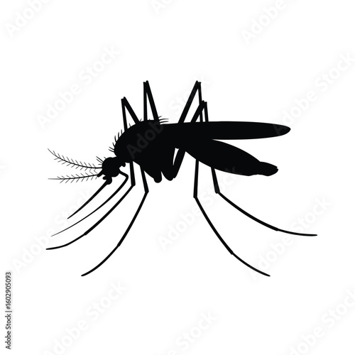 Silhouette of a mosquito insect