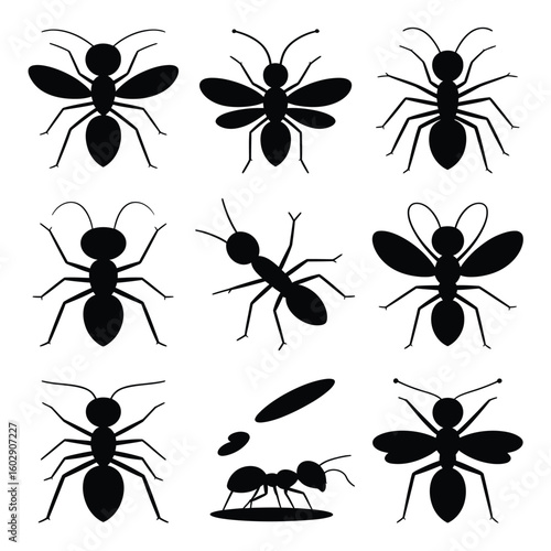 Collection of silhouetted ants and insects with wings