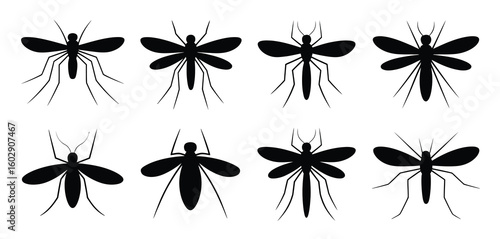 Collection of eight black mosquito silhouettes with detailed legs and wings