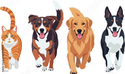 Cartoon pets featuring a cat and dogs running forward with happy expressions.