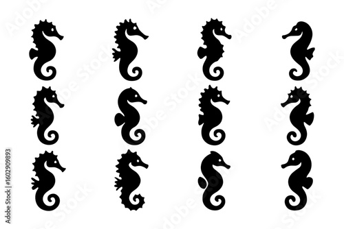 Seahorse silhouettes collection on white background for nautical designs