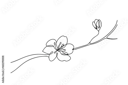SingleLine Cherry Blossom Branch, Minimalist Floral Art, Elegant Design