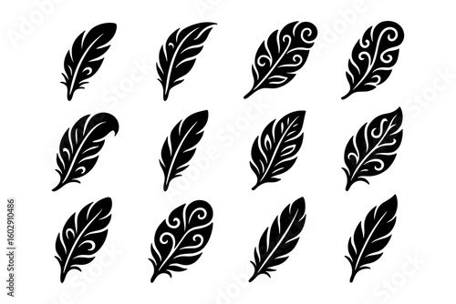 Elegant feather designs collection with ornate patterns in black silhouette style