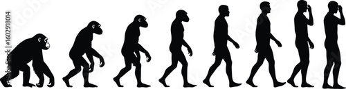 Human evolution silhouette stages from primates to modern man, educational development vector, black and white anthropology concept, biology illustration art