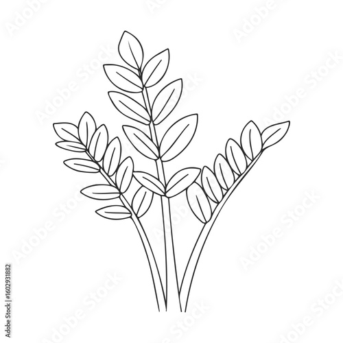 Elegant black and white botanical line art of leafy stems – stock vector icon in line style