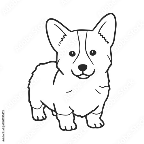Outline drawing of a corgi puppy with large ears and happy expression – stock vector icon in line style