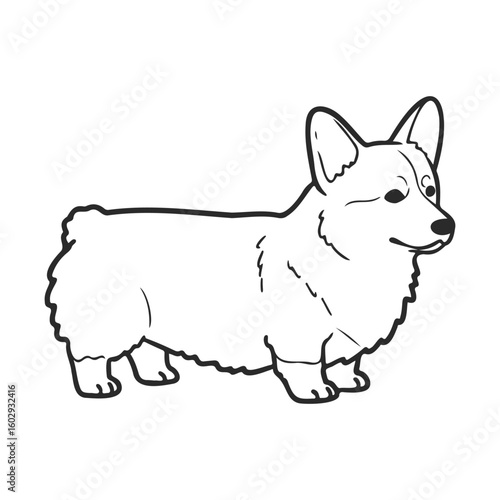 Outline of a corgi dog illustration in black and white line art style – stock vector icon in line style