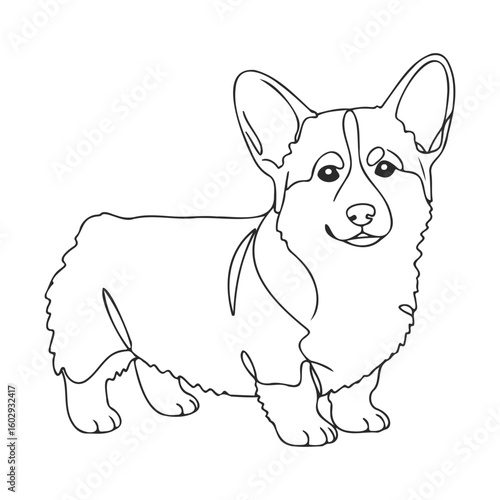 Outline of welsh corgi with floppy ears and short legs in standing pose – stock vector icon in line style