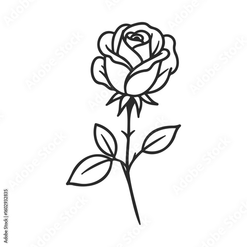Simple black and white outline of a rose with leaves – stock vector icon in line style