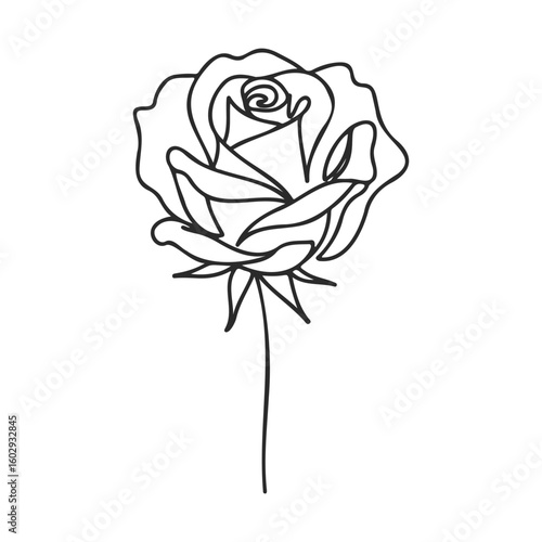 Elegant rose outline drawing with simple lines and minimalist design – stock vector icon in line style