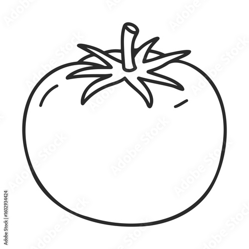 Black and white vector line drawing of a tomato – stock vector icon in line style