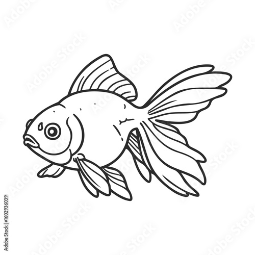 Detailed black and white goldfish illustration with flowing fins and tail – stock vector icon in line style