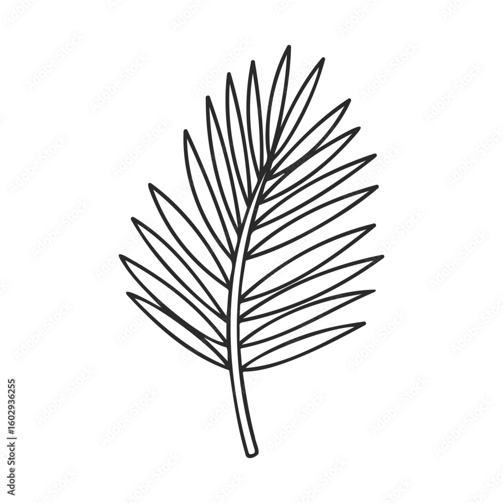 Obraz premium Simple black and white line drawing of a palm leaf on white background – stock vector icon in line style