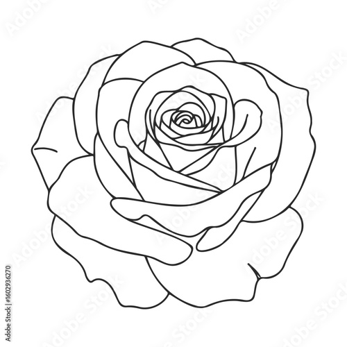 Black and white rose outline illustration for floral designs and coloring – stock vector icon in line style