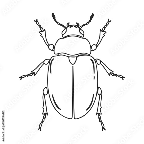 Detailed line art of a beetle with symmetrical patterns – stock vector icon in line style