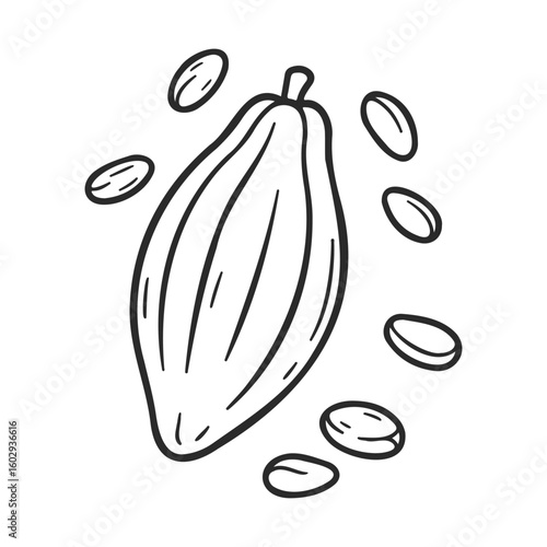 Black and white illustration of cocoa pod and beans outline – stock vector icon in line style