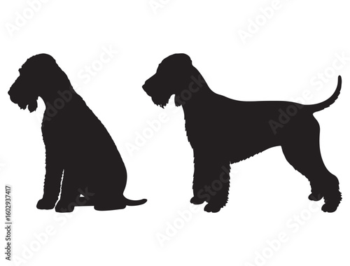 BEDLINGTON TERRIER DOG SILHOUETTE