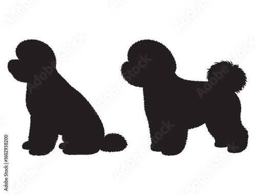 BICHON FRISE DOG SILHOUETTE