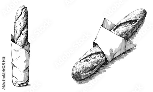 Baguette in paper wrapping sketch on white background  