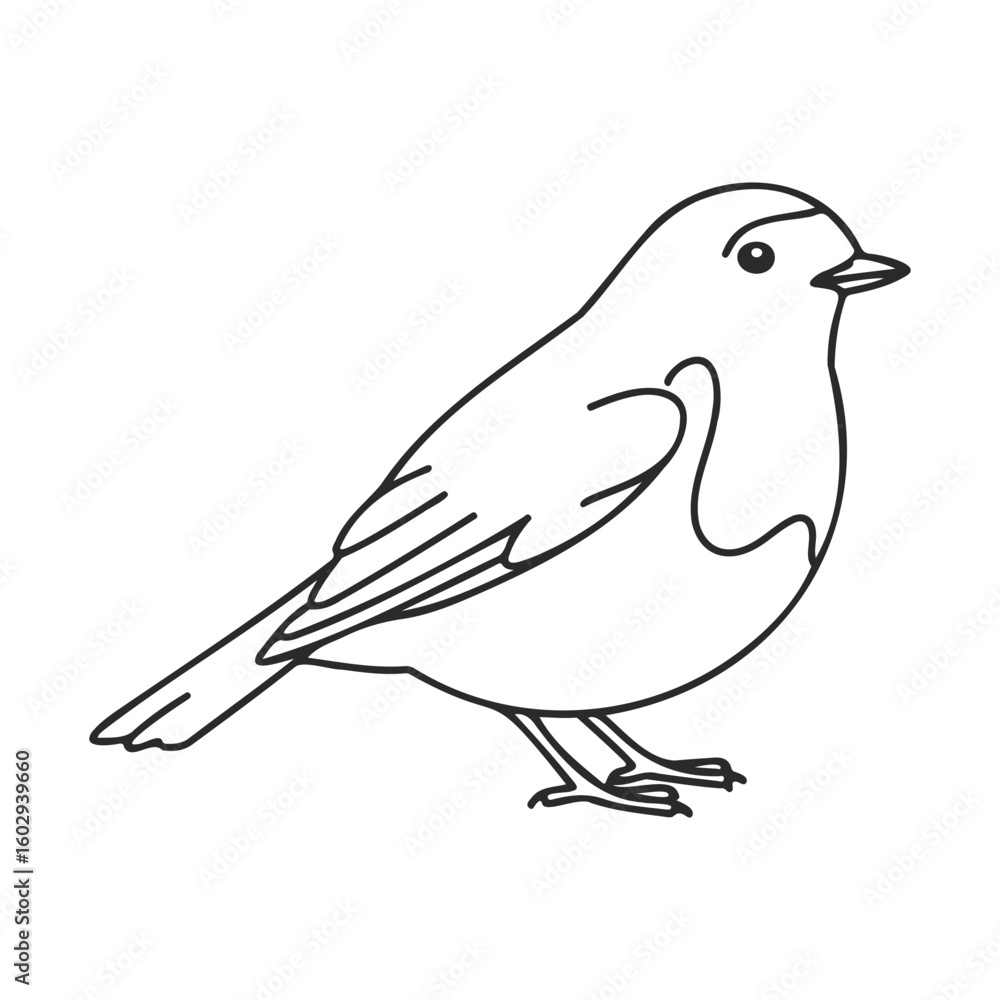 Fototapeta premium Black and white outline of sparrow illustration in minimalist style – stock vector icon in line style