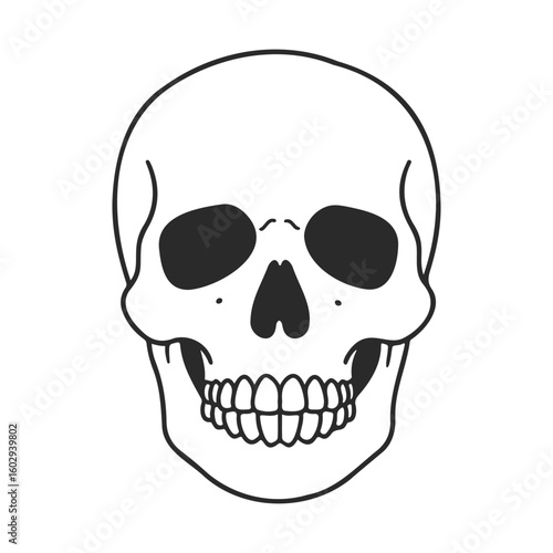 Simple black and white skull drawing with bold lines on white background – stock vector icon in line style