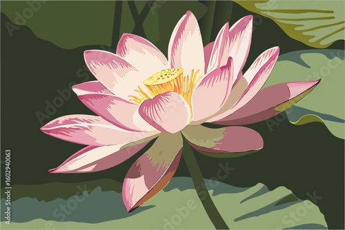 Beautiful pink lotus flower blooming in water with green lily pads