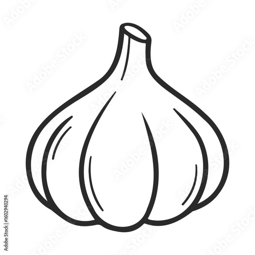 Simple black and white line drawing of a garlic bulb – stock vector icon in line style