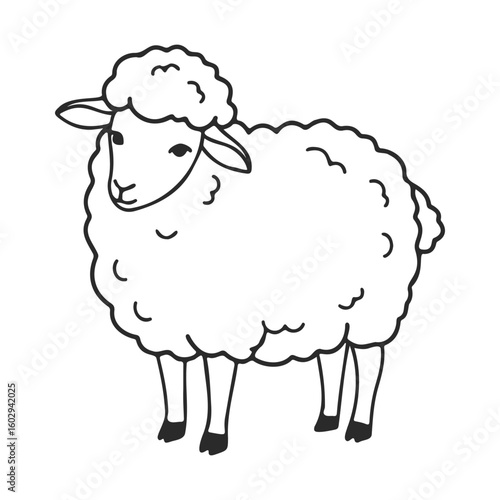 Illustration of a fluffy sheep outline in black and white – stock vector icon in line style