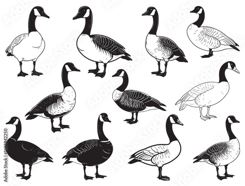 CANADIAN GOOSE SILHOUETTE
