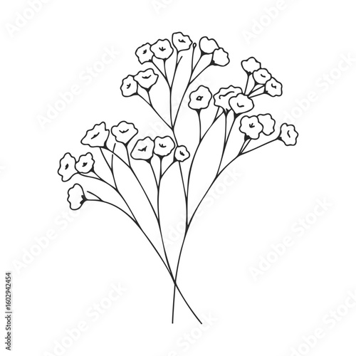 Delicate black and white baby's breath floral sketch – stock vector icon in line style