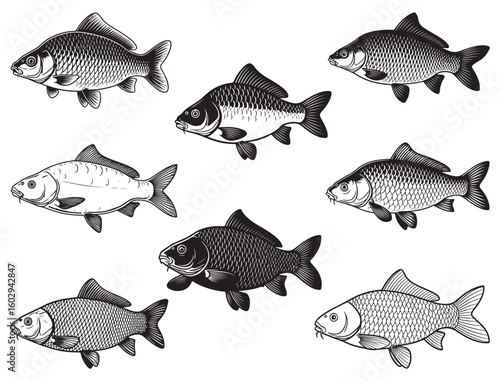 CARP FISH SILHOUETTE