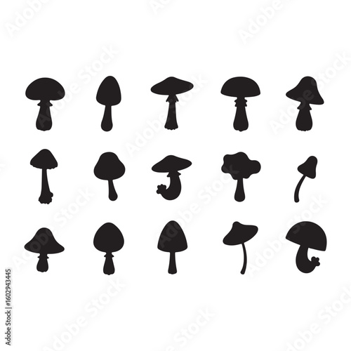 Silhouette of mycelium mushroom, Vector illustration of Halloween, design element.