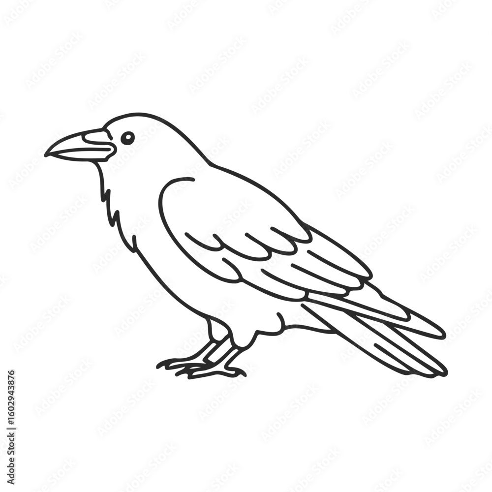 Fototapeta premium Black raven outline illustration featuring perched bird in side profile view – stock vector icon in line style