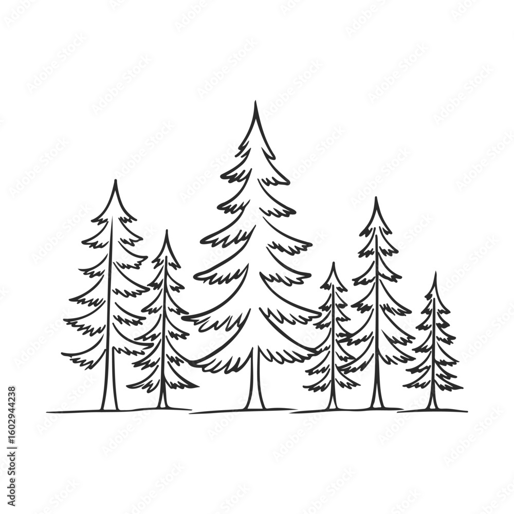 Obraz premium Black and white sketched pine trees in minimalist design – stock vector icon in line style