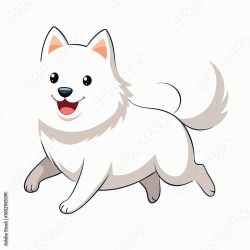 cute dog on white 