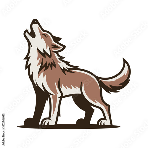 Brown wolf howling with white background animal wildlife