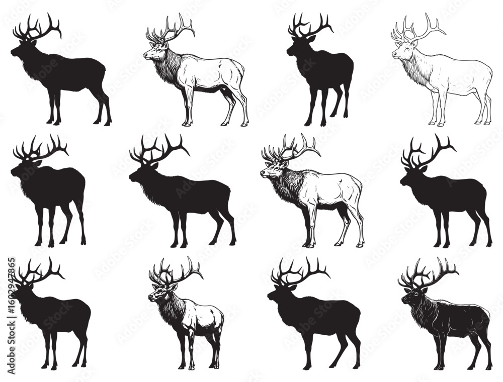 Fototapeta premium ELK SILHOUETTE