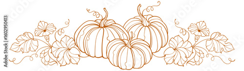 Pumpkin line art style vector illustration