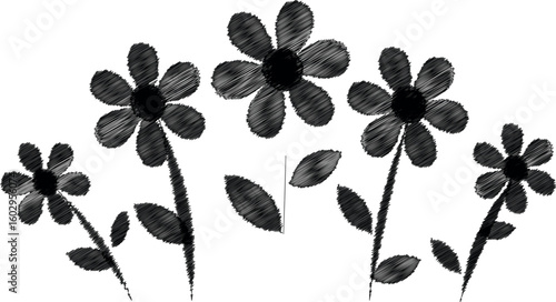Elegant Set of Decorative Floral Design Elements Featuring Spring and Summer Garden Flowers in a Flat Cartoon Vector Style With Black Scribed Brush