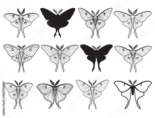 LUNA MOTH SILHOUETTE