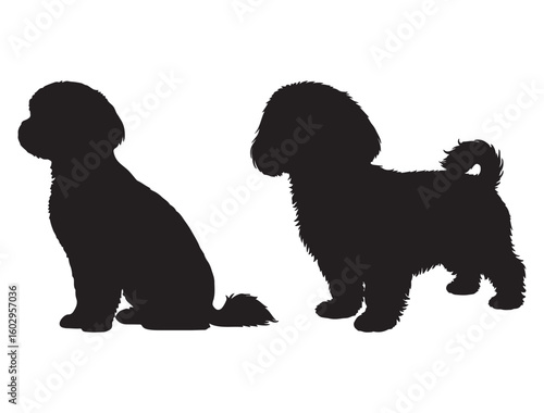 MALTESE DOG SILHOUETTE
